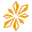 sparkient